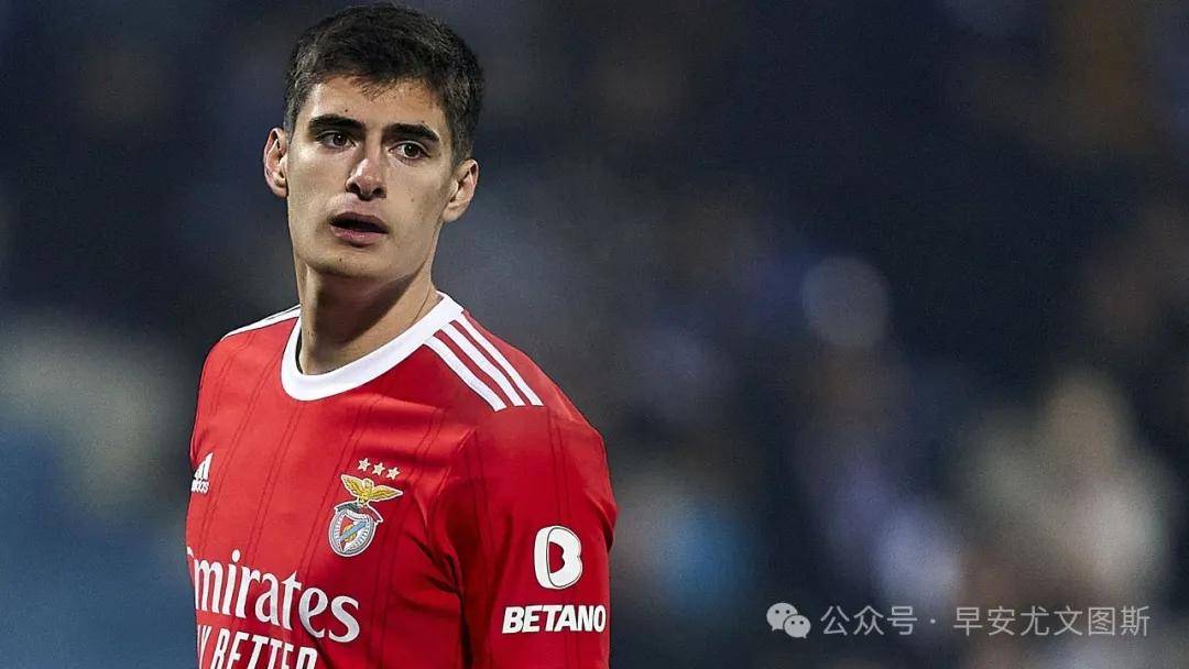 包含今晚本菲卡备战荷甲，刷新队史纪录细节曝光，态度坚定，轮换策略成焦点的词条